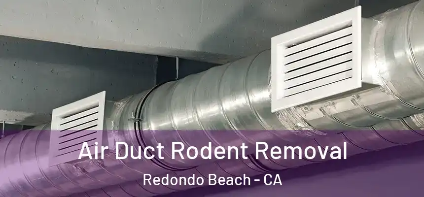  Air Duct Rodent Removal Redondo Beach - CA