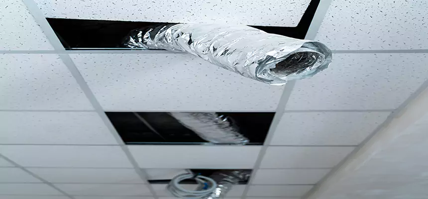 Affordable HVAC Sanitizing After Pest Removal in Redondo Beach