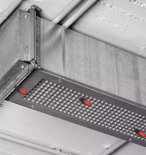 About Air Duct Cockroach Removal in Redondo Beach, CA