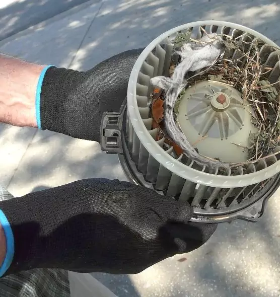 About Air Duct Rat Removal in Redondo Beach, CA