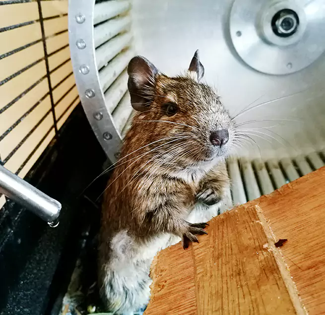 Why Homeowners & Businesses Trust Us Redondo Beach, CA?