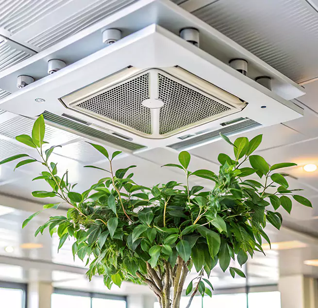 Why Homeowners & Businesses Trust Us in Redondo Beach, CA?