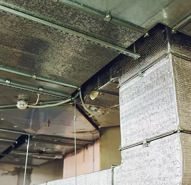 Why Homeowners & Businesses Trust Us in Redondo Beach, CA?